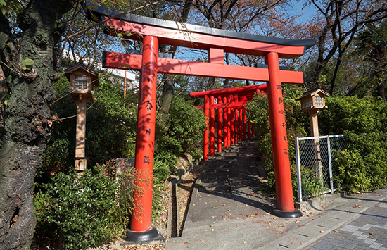 Ворота в японском саду